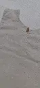 WhatsApp Image 2025-07-27 at 21.08.46 (1).webp